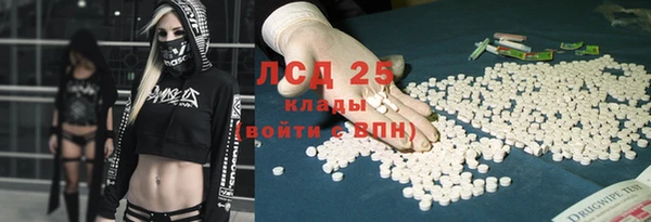 сатива Нефтекумск