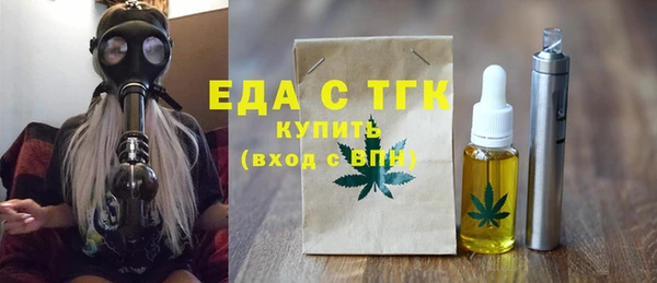шишки Гусиноозёрск