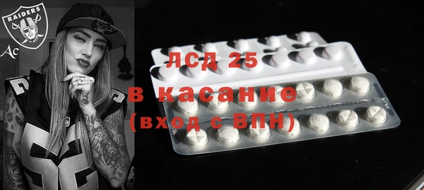 шишки Гусиноозёрск
