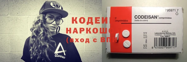 шишки Гусиноозёрск