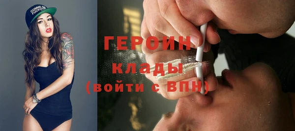 шишки Гусиноозёрск