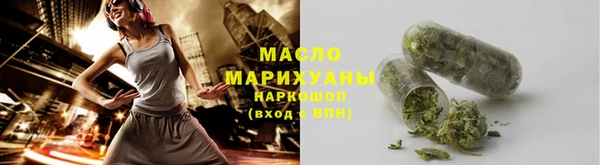 шишки Гусиноозёрск