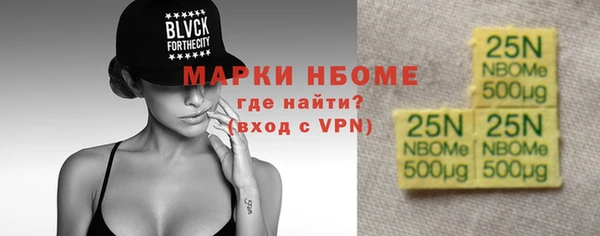шишки Гусиноозёрск