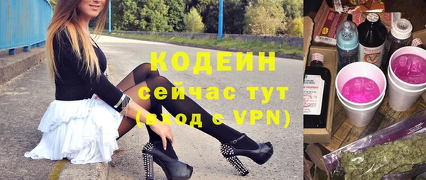 шишки Гусиноозёрск