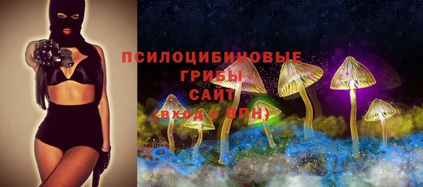 шишки Гусиноозёрск