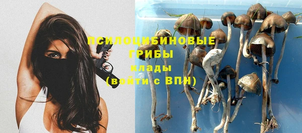 шишки Гусиноозёрск