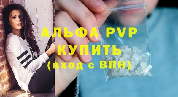 шишки Гусиноозёрск