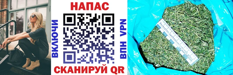 Конопля OG Kush где найти Очёр